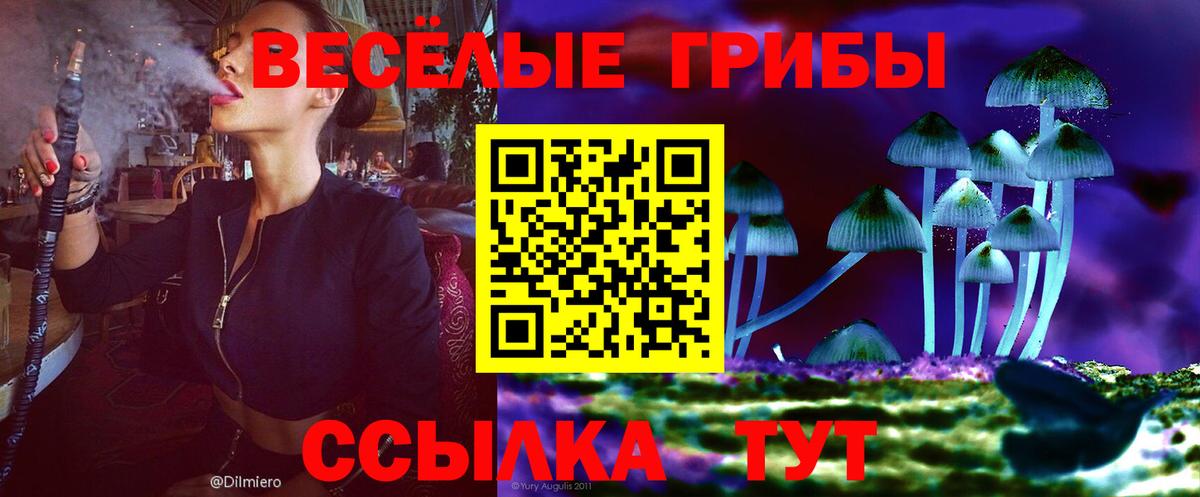 Псилоцибиновые грибы Psilocybine cubensis Десногорск