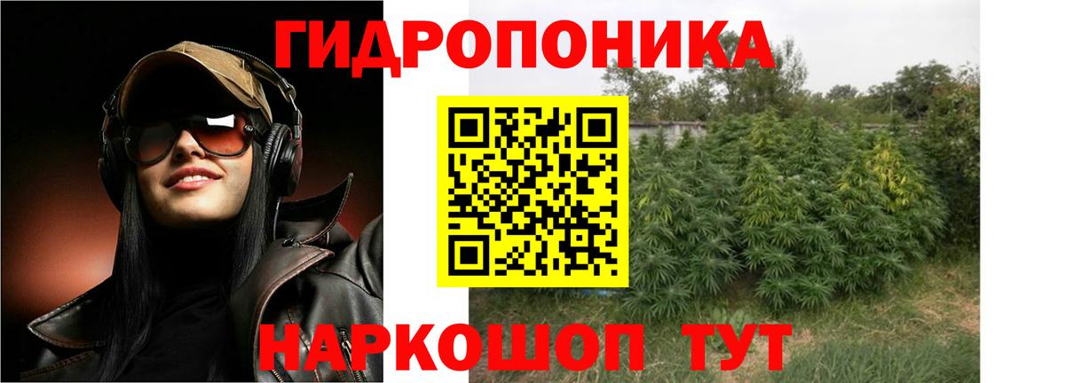 Шишки марихуана Bruce Banner  Конопля VHQ  Десногорск  Вход с VPN 